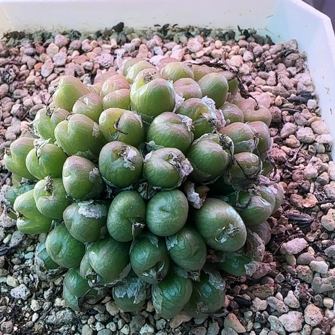 【闪购商品】12345678