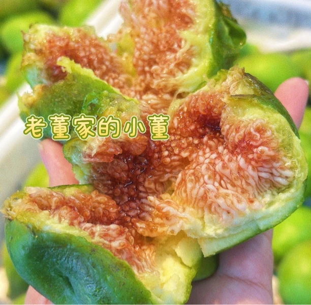 （山东省外）威海特产头茬青皮无花果新鲜采摘软糯香甜顺丰空运