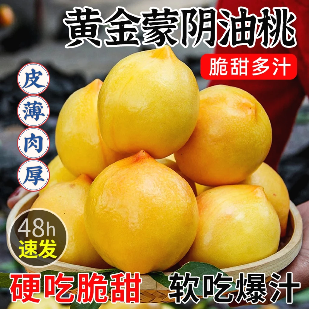 山东蒙阴蜜桃黄金油桃桃子水果新鲜采摘产地直发夏日尝鲜