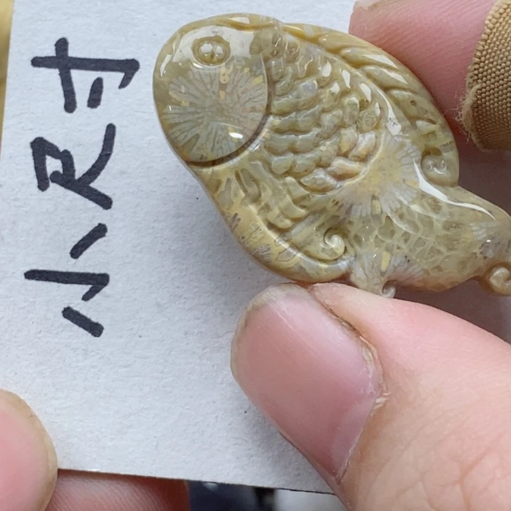 颈饰未镶嵌硅化珊瑚（珊瑚玉）