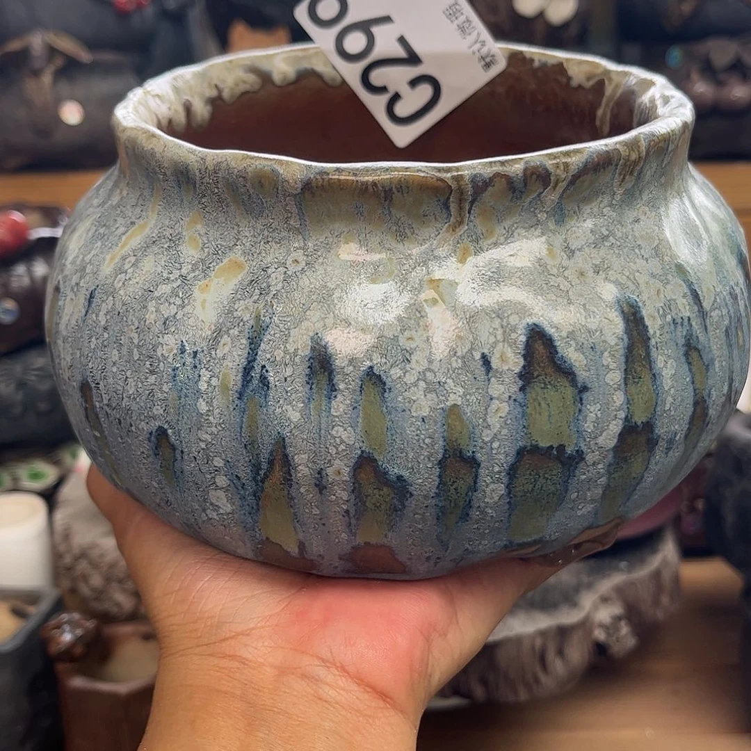 哈哈这几位朋友真的特别299