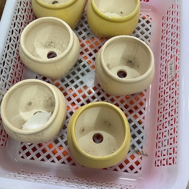 微瑕陶瓷花盆满9.9发