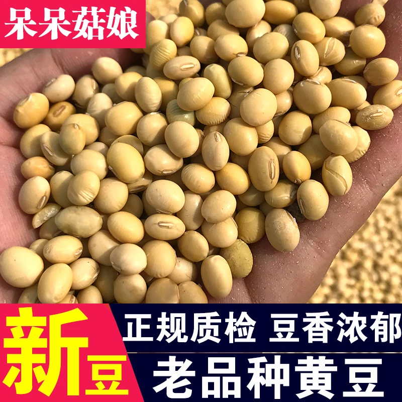【规格齐全】老品种黄豆山东大豆椭圆型黄豆打豆浆专用豆土黄豆粗粮