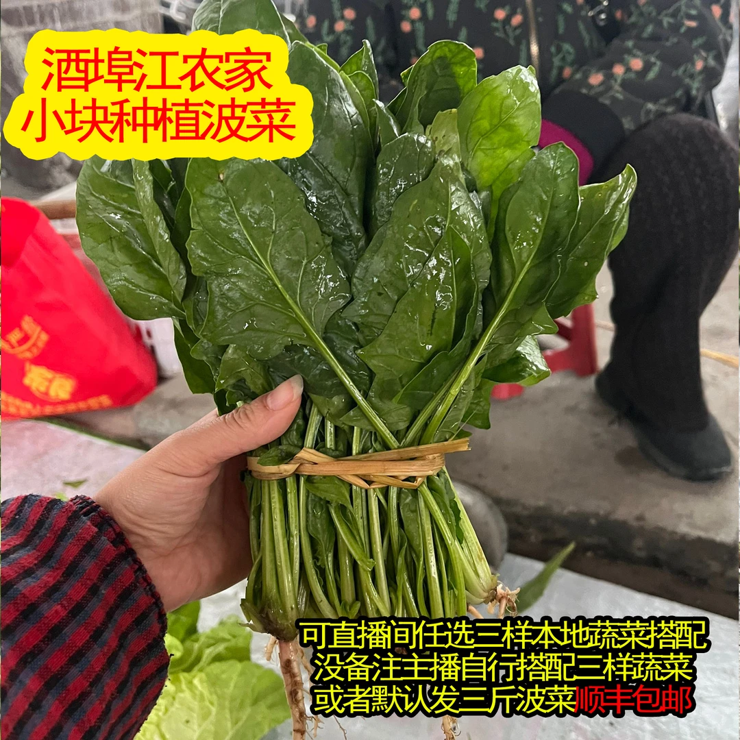 湖南特产农家小块种植波菜拍下可自行备注或者主播自行搭配当季菜