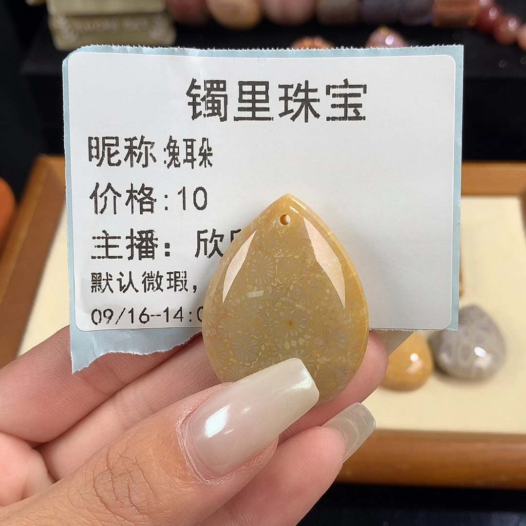 兔***朵吊坠(赠链)未镶嵌硅化珊瑚（珊瑚玉）