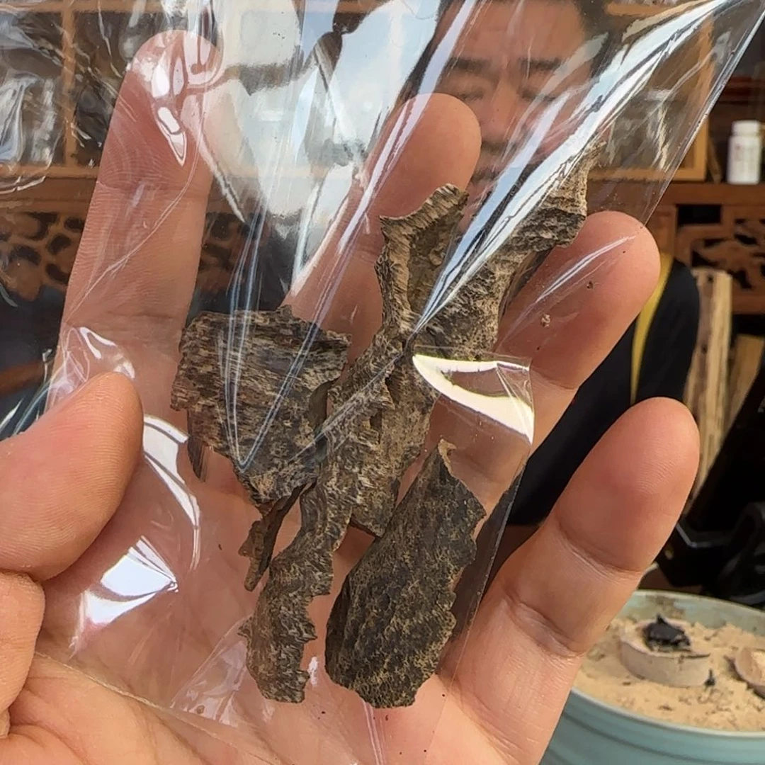 摆件沉香海南澄迈沉香野树打眼料5克装