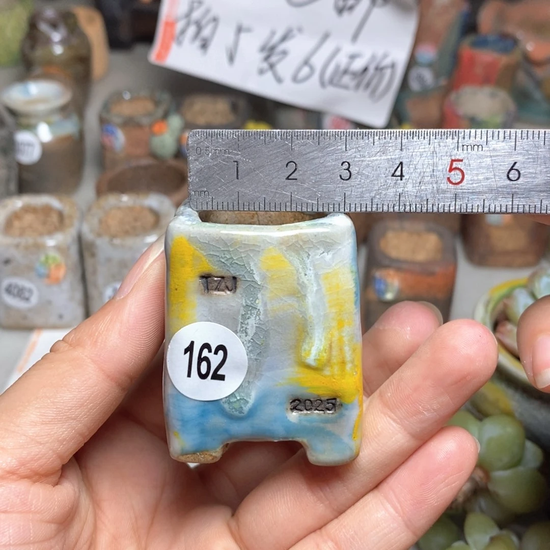 拍5送一个小礼物