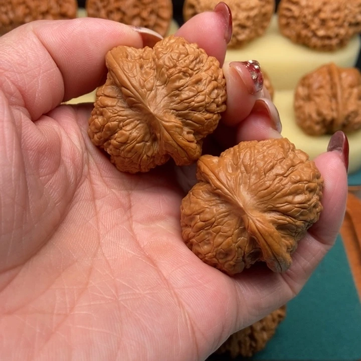 血麒麟全38尺已打底……3