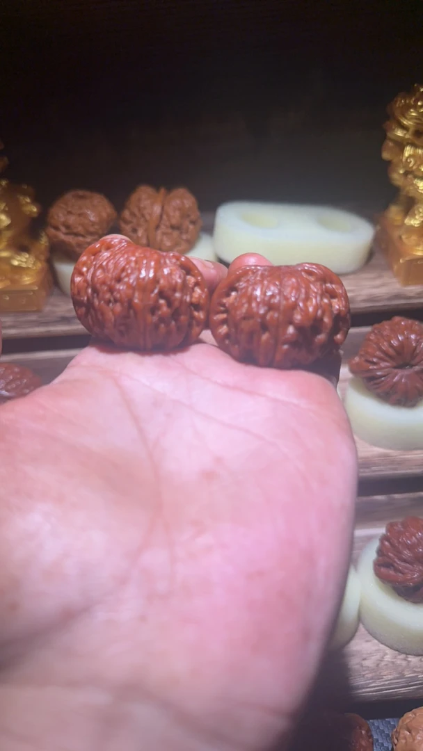 42全品无休蝴蝶磨