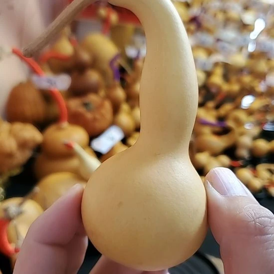 主播优选自然小葫芦漏漏漏—15车—鹰嘴本念（轻微色差）