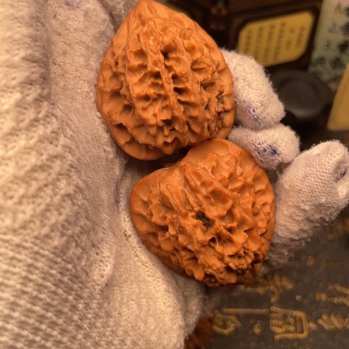 达***远核桃38尺秦岭野生鸡心