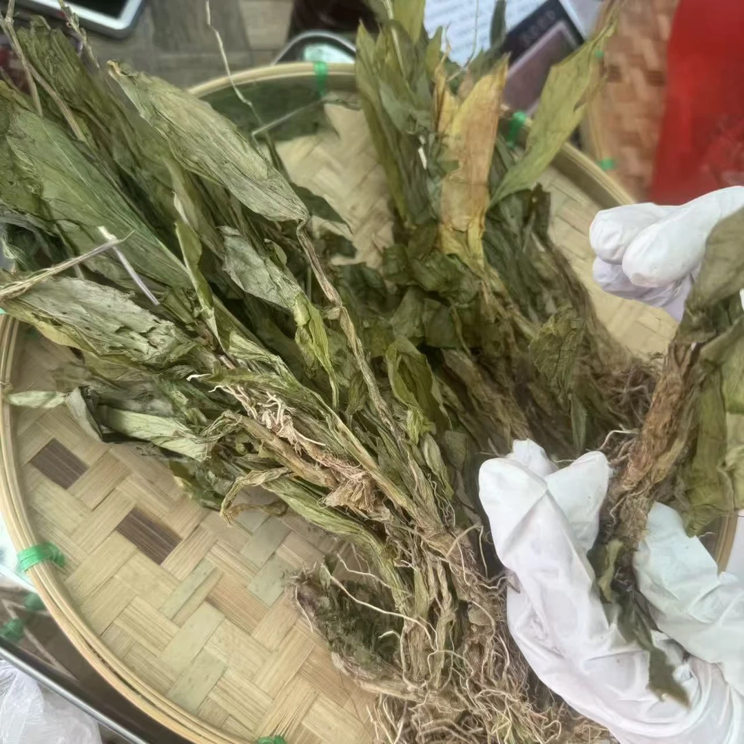 正宗见 血 清 可泡水