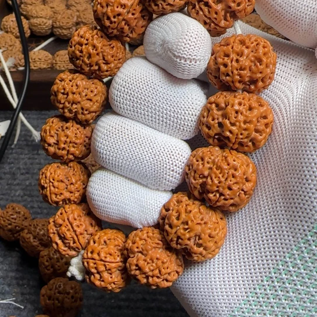 菩提金刚菩提23平头满肉梅花