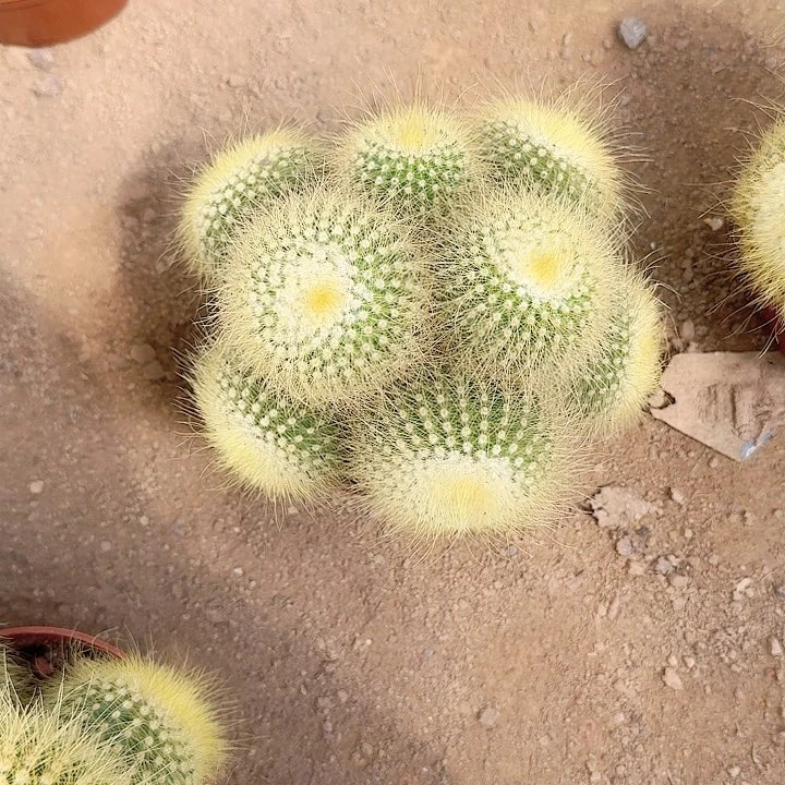 ****H哈哈哈哈哈哈哈哈哈哈哈