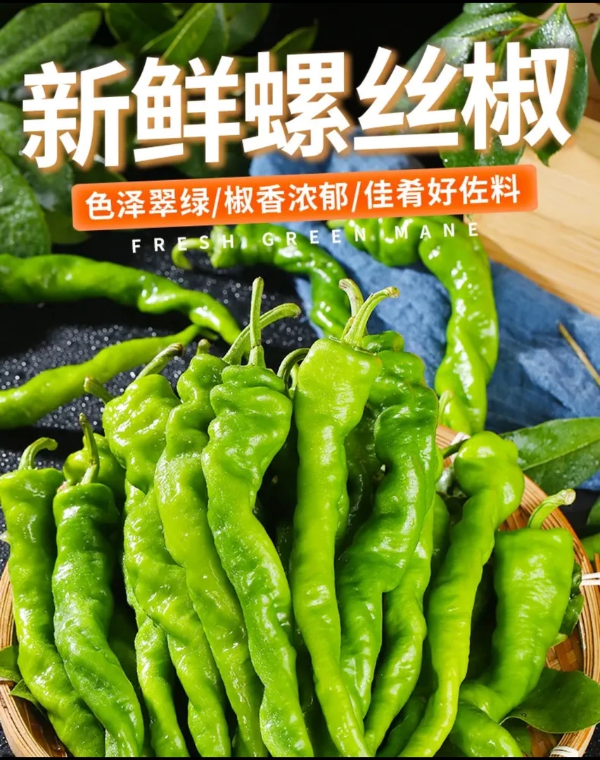 正宗特辣螺丝椒新鲜现摘香辣薄皮青椒农家自种中辣微辣