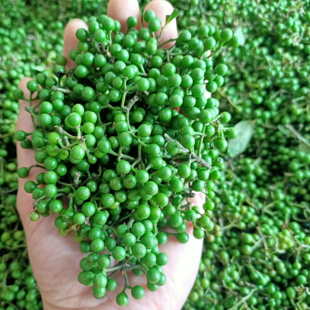 贵州雷山本地农家木姜子