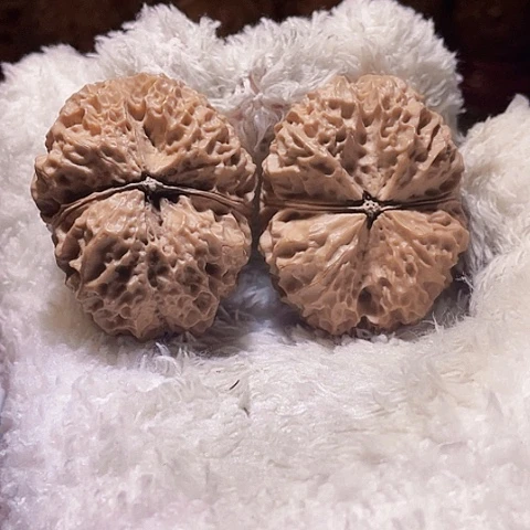 把件文玩核桃苹果圆带彩44+