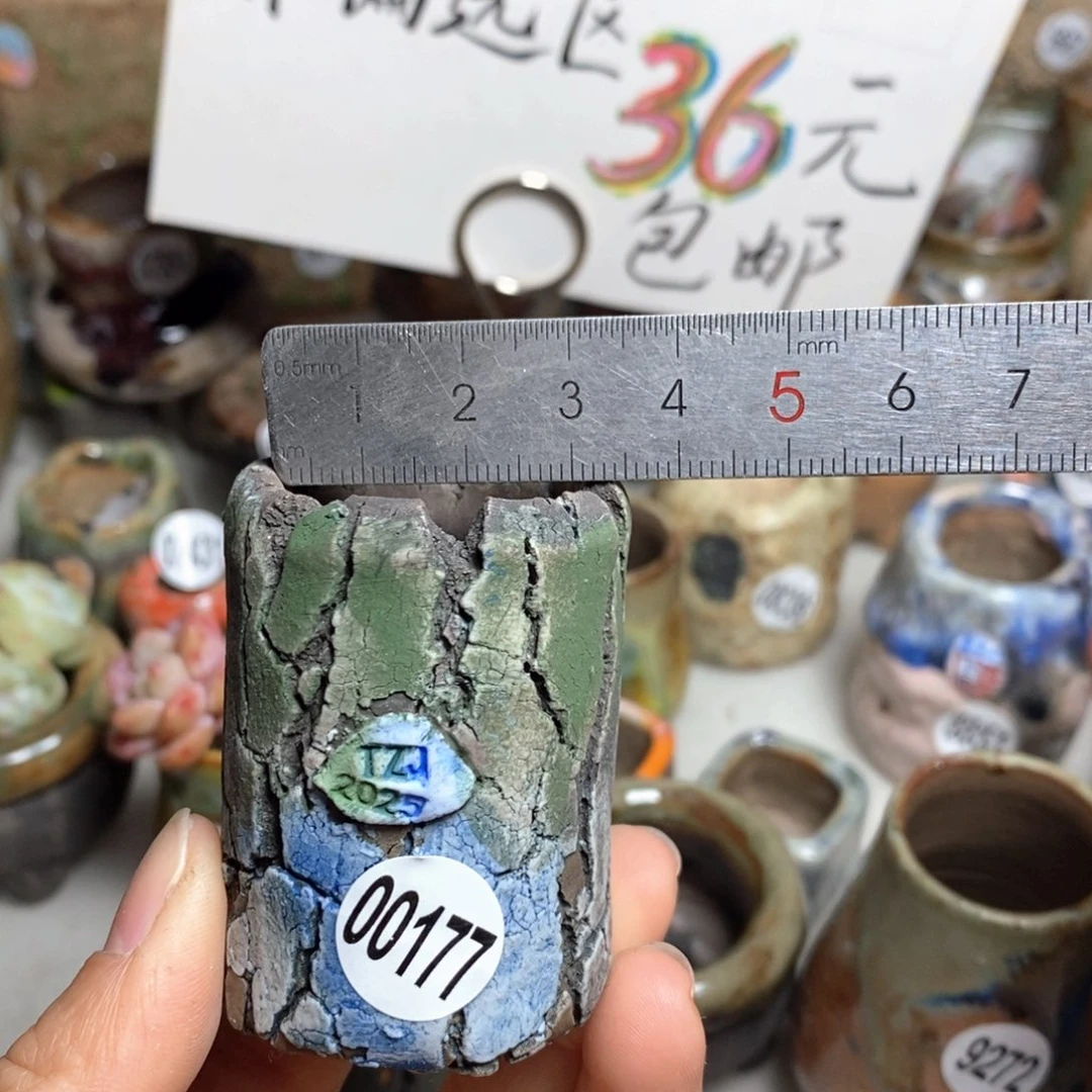 花盆拍3送一个小礼物