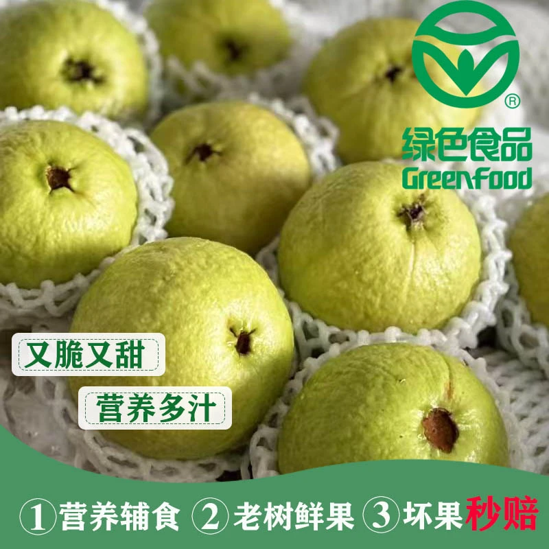 【绿色食品】当季水果甘坡石榴精品大果白心番石榴低糖水果脆芭乐