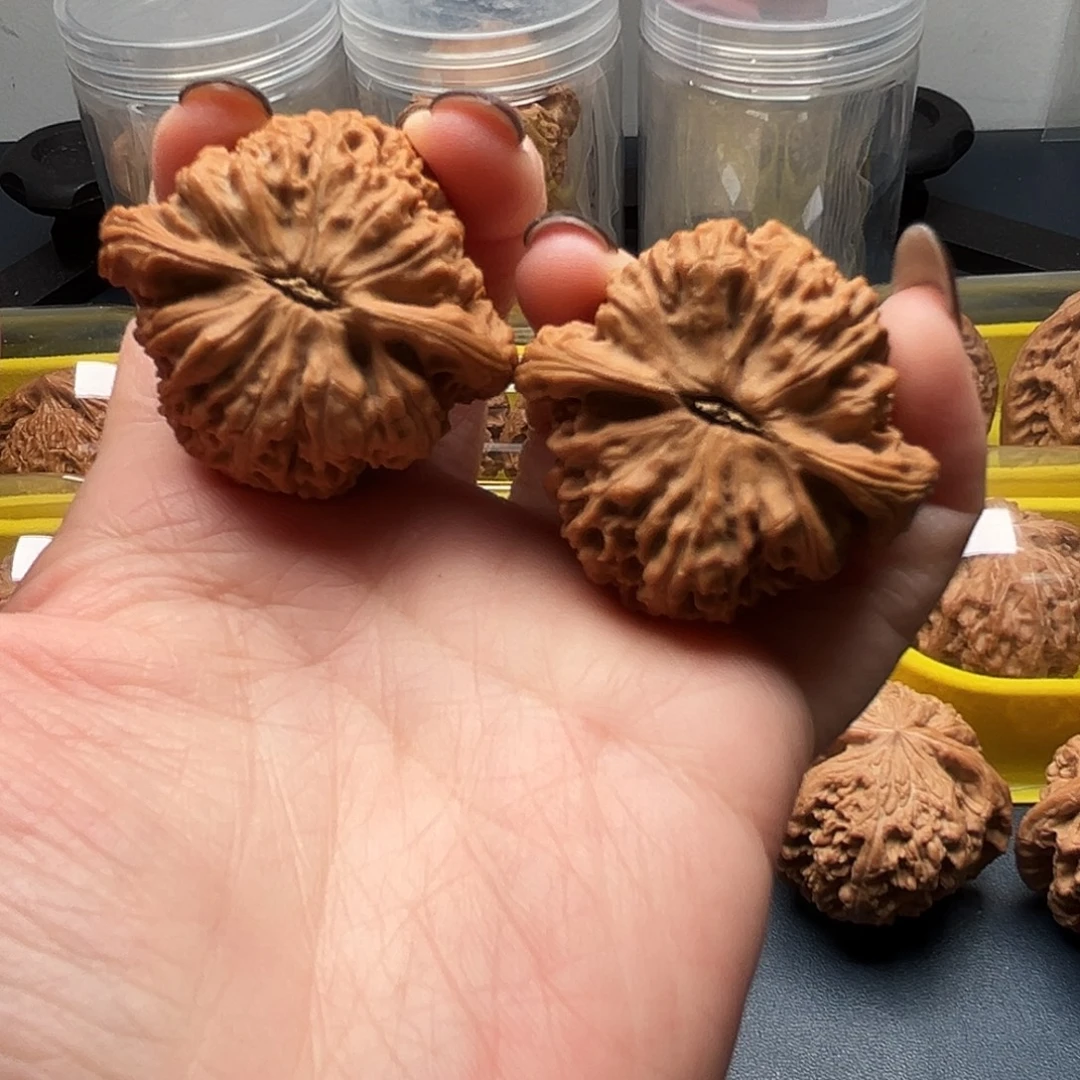 核桃40尺寸三角疆
