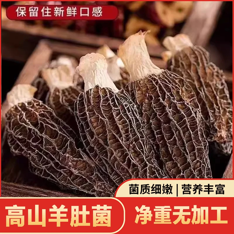 羊肚菌山货【50g】干货精选甄选云南特产菌菇高山羊肚菌炖汤营养