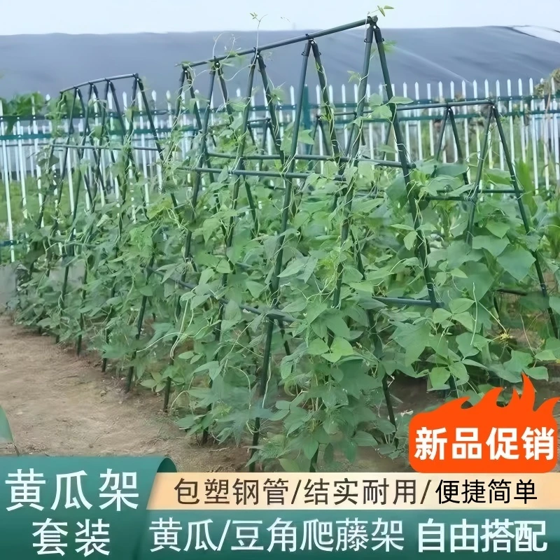 黄瓜豆角等种菜支架园艺支撑杆架子爬藤支架月季花架庭院种菜支架