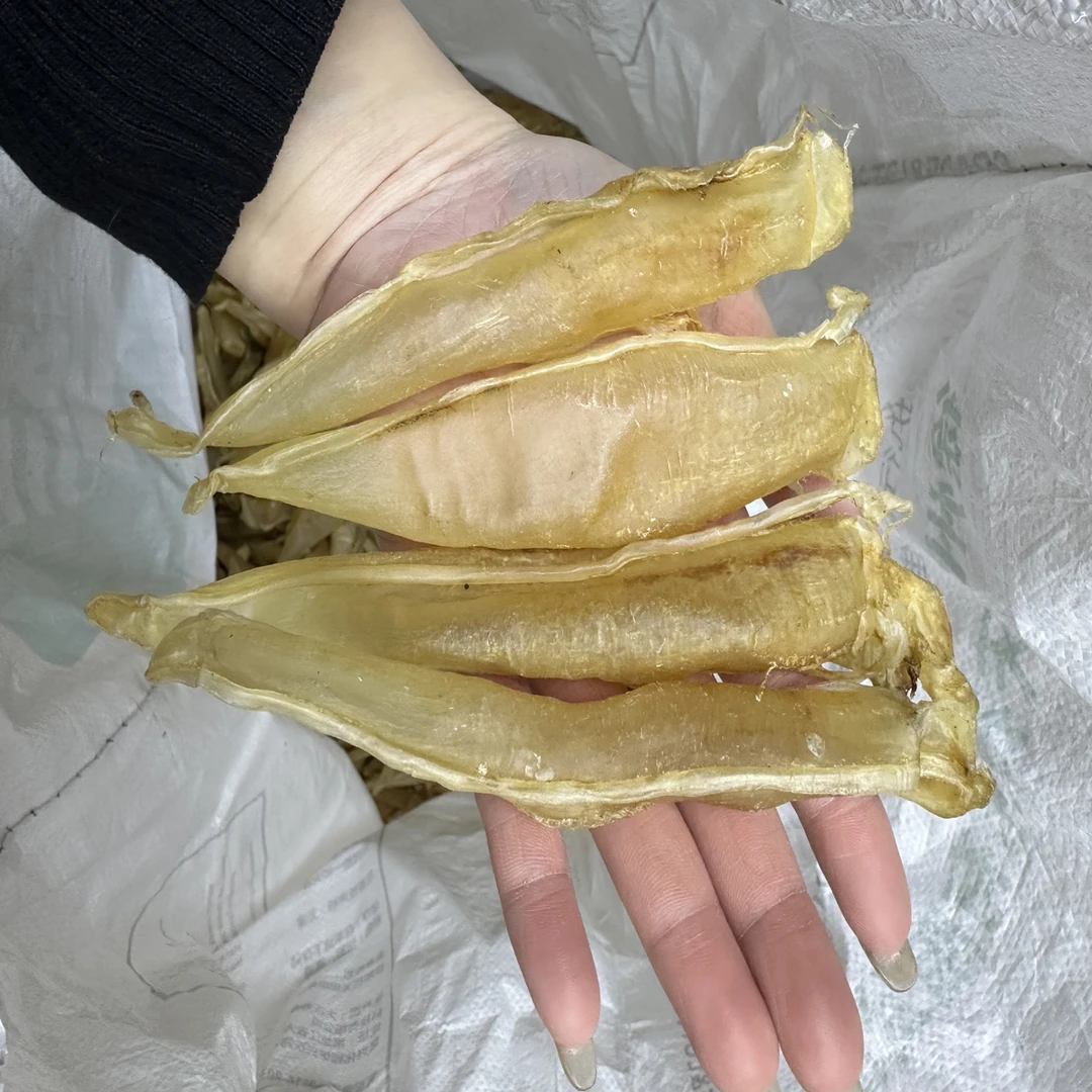 与花同行鲜花深海野生双须金龙胶 月子胶 品质渔民货