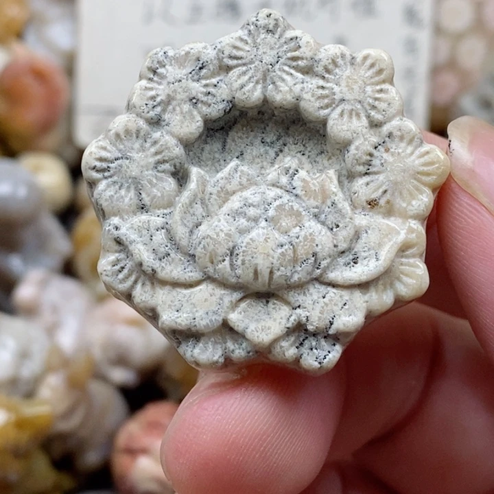 颈饰未镶嵌硅化珊瑚（珊瑚玉）有瑕 小