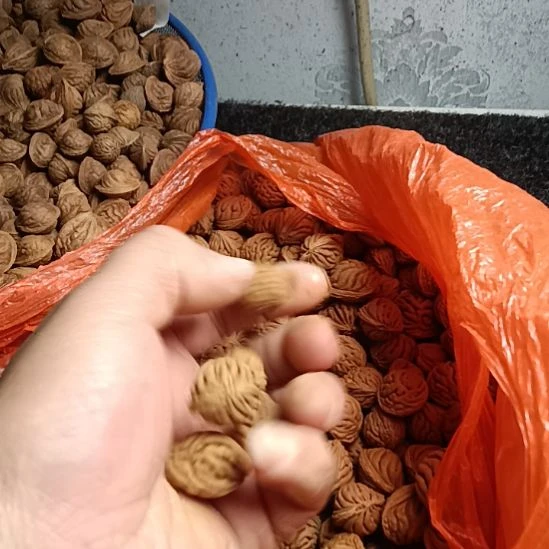 安***茶手串桃核50颗龙纹桃核，16+到18+