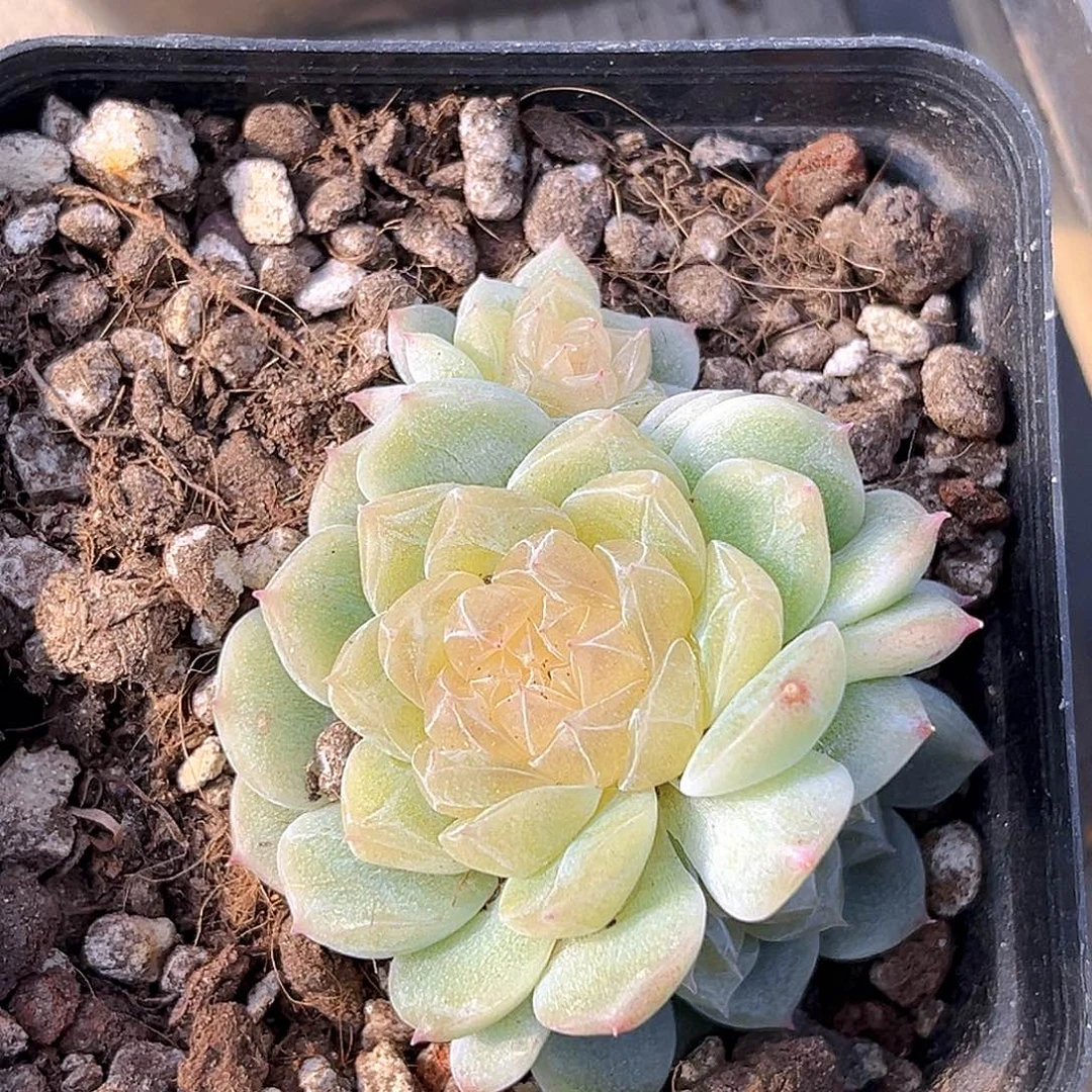 831一物一拍 财富