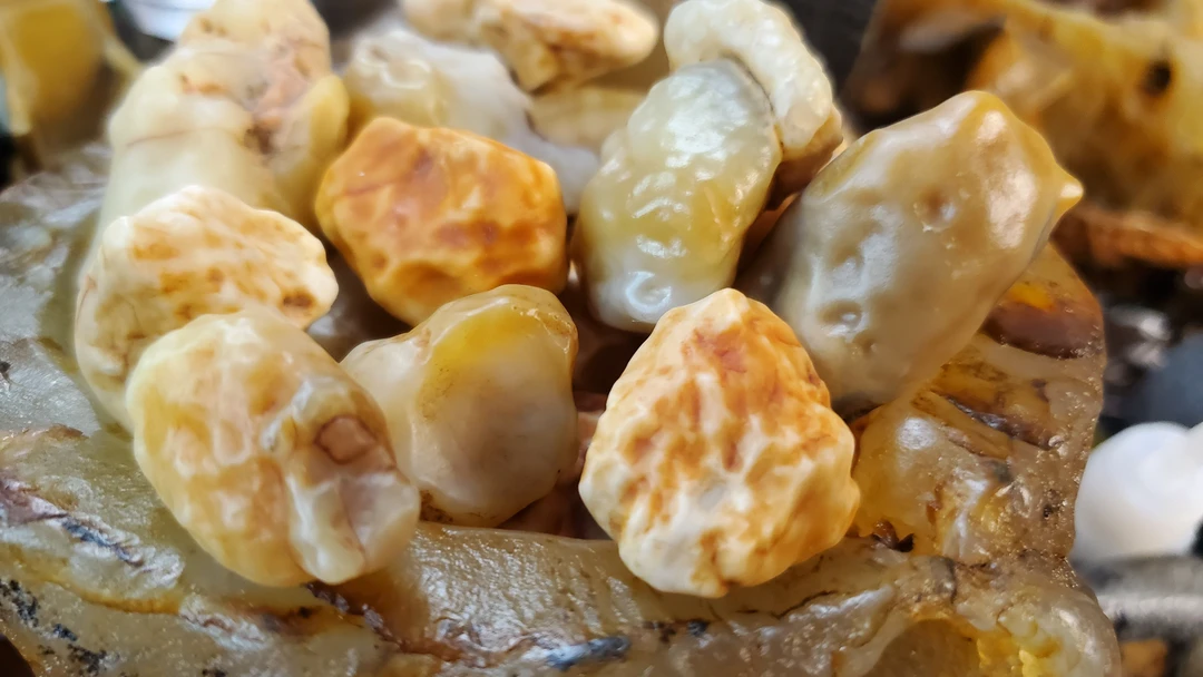 D阿拉善戈壁沙漠漆奇石象形造型原石