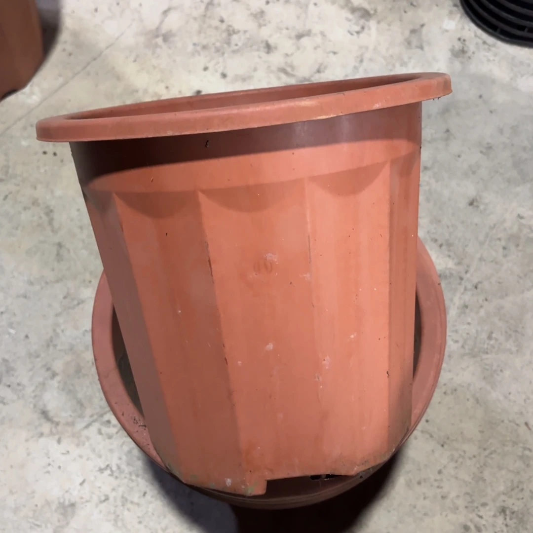 大红砖盆260口径发6个