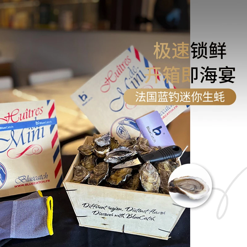 法蚝迷你生蚝聚会约会女生诺曼底产区嫩滑细腻小巧