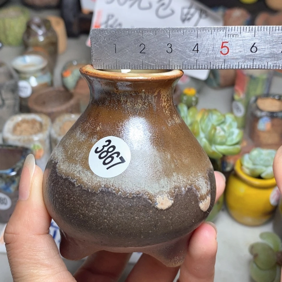 拍5送一个小礼物