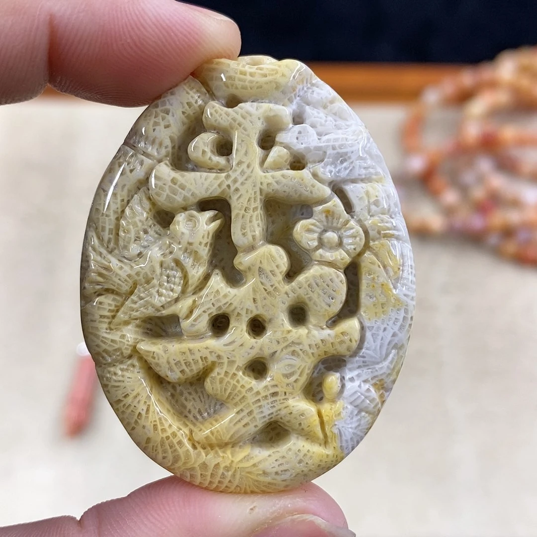 硅化珊瑚（珊瑚玉）Q676未镶嵌