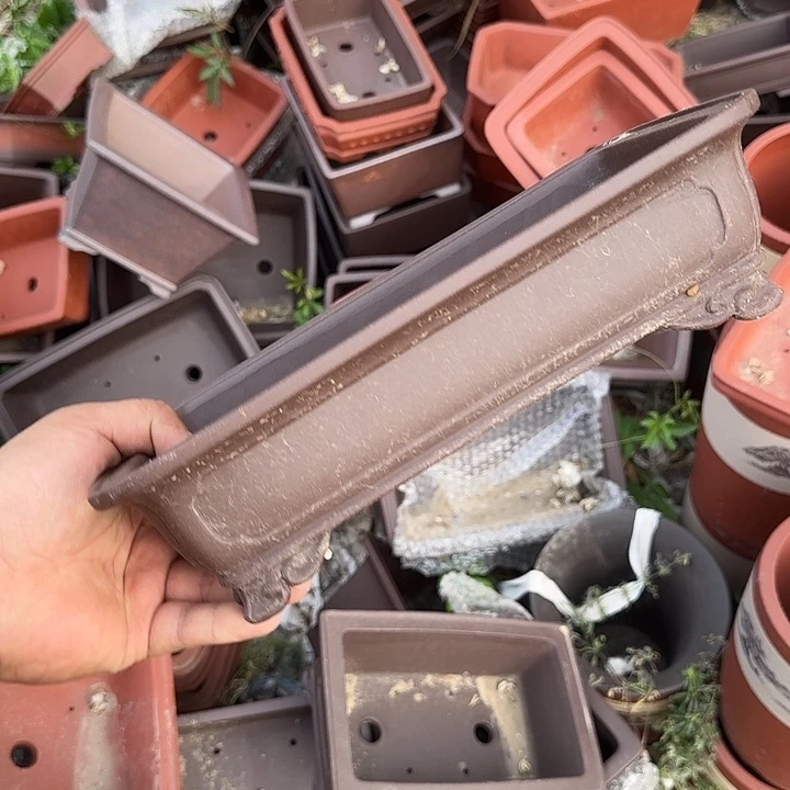 你就在家里吃好吧别想