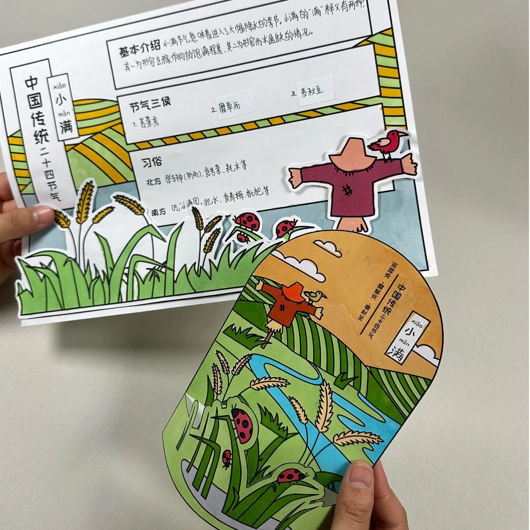 【原创】小满节气手抄报立体卡节气环创|PDF电子版资源|无实物发货