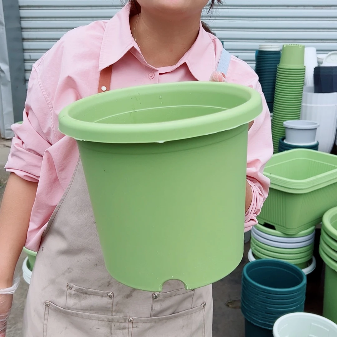 四季盆4#果绿色8个无托