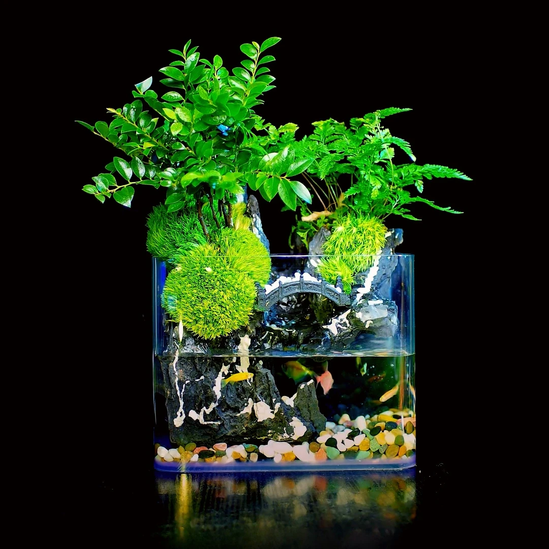 【原野】新款可拆洗小桥流水 小叶紫檀带流水养鱼微景观20*16*14