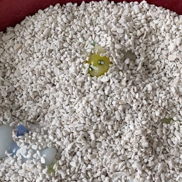 S***l琉璃手工艺品小猫咪