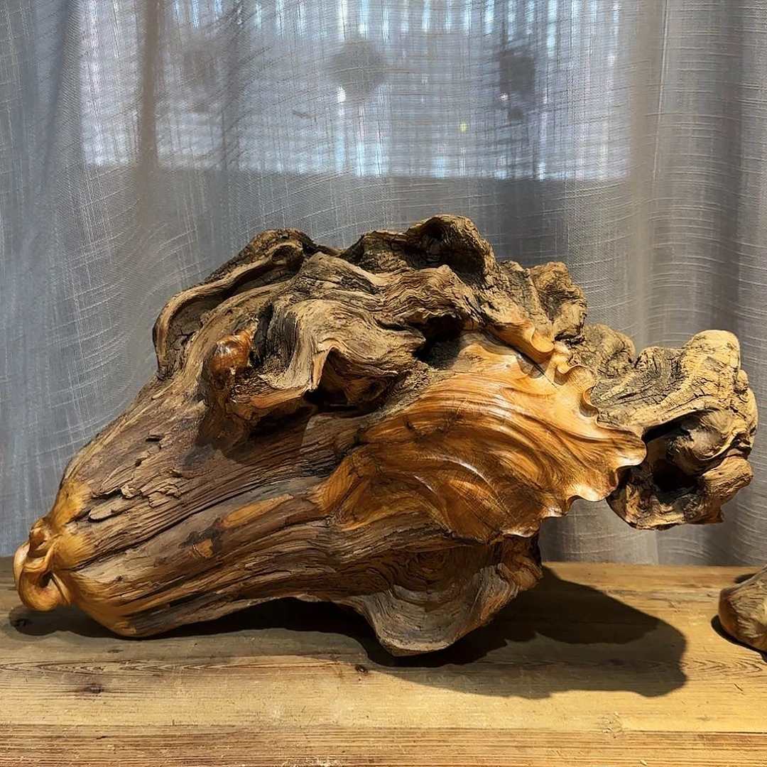 柏木（崖柏）太行集团