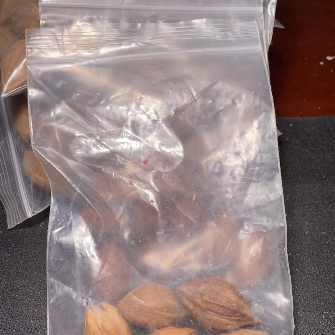 ****️手串/手链橄榄核不退不换