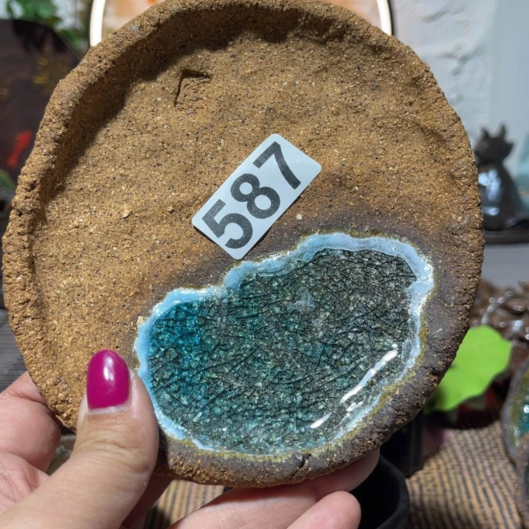 木村信弘柴烧保平