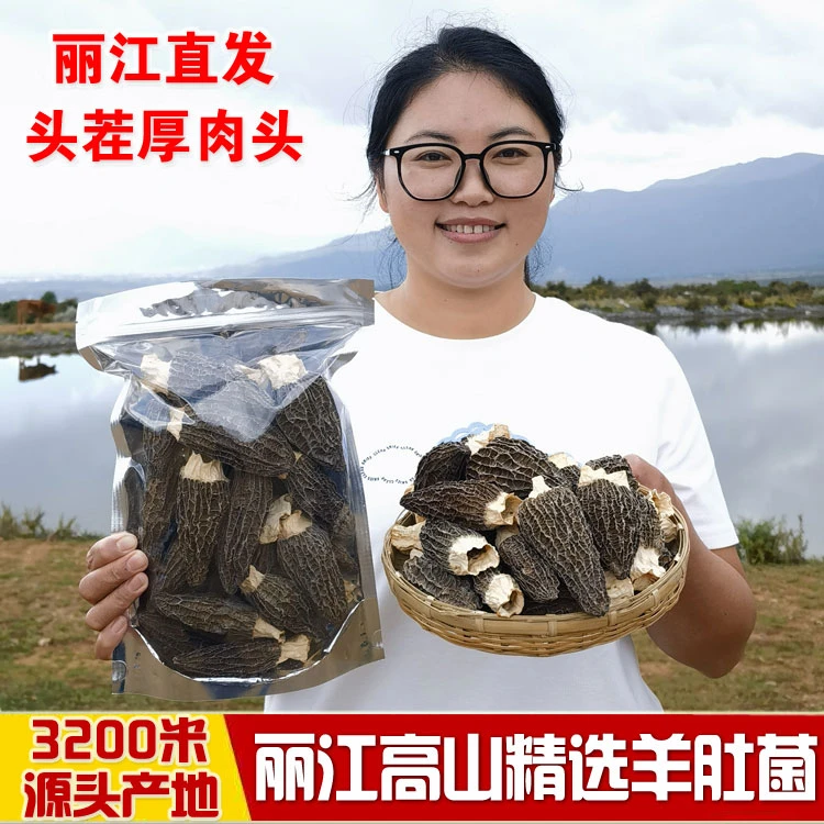 云南丽江头茬新鲜羊肚菌干货土特产煲汤食材仿野生牛肚菌菇汤包