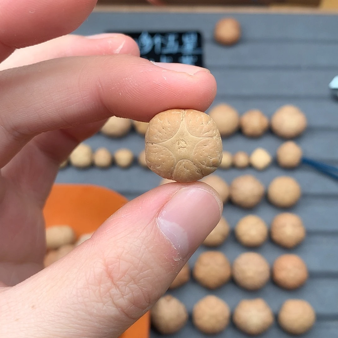 吊坠凤眼菩提19+五星，非质量问题开孔不退