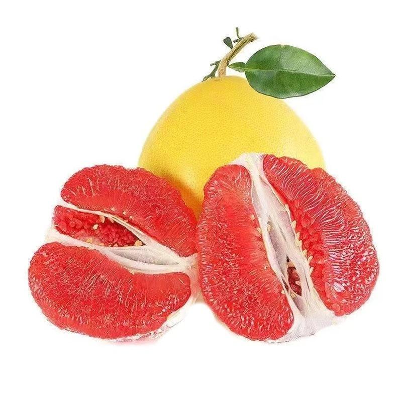 三红柚1个   约1600g