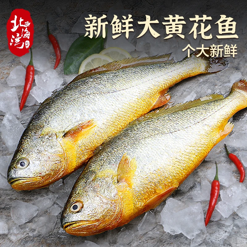 【北海湾】黄花鱼新货新鲜水产福建宁德250g*6条