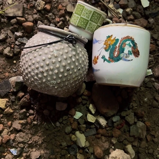 阳***道杂色豆（科檀/科特迪瓦檀木）