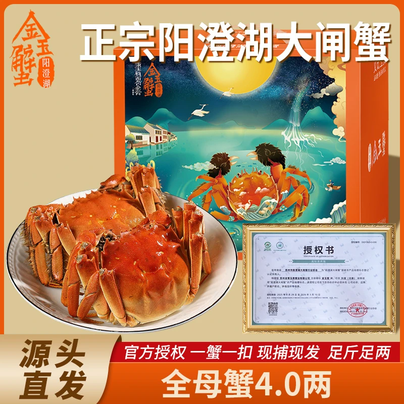【活蟹】阳澄湖大闸蟹4两全母蟹8/10只装金玉蟹正宗阳澄湖大闸蟹礼盒装高标准塘养