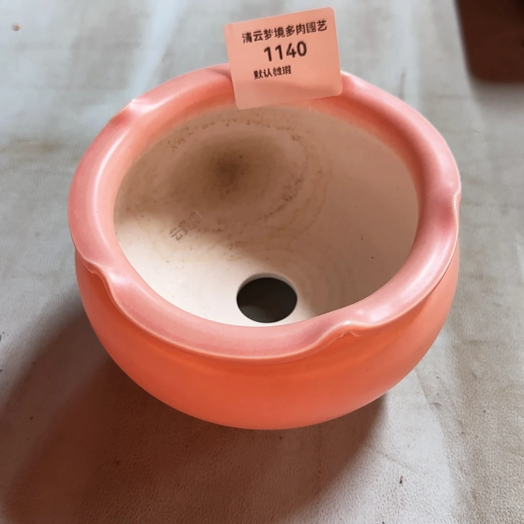 【闪购商品】家****崽1140